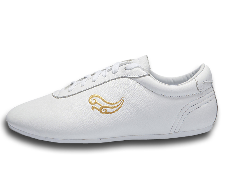 Leather Tai Chi Shoes